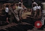 Image of rifles and combat equipment Japan, 1945, second 28 stock footage video 65675024854