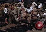 Image of rifles and combat equipment Japan, 1945, second 30 stock footage video 65675024854
