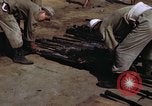 Image of rifles and combat equipment Japan, 1945, second 45 stock footage video 65675024854