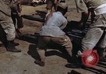 Image of rifles and combat equipment Japan, 1945, second 48 stock footage video 65675024854