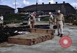 Image of rifles and combat equipment Japan, 1945, second 58 stock footage video 65675024854