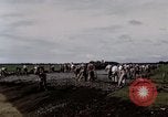 Image of C-54 Japan, 1945, second 10 stock footage video 65675024858