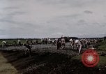 Image of C-54 Japan, 1945, second 14 stock footage video 65675024858