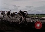 Image of C-54 Japan, 1945, second 15 stock footage video 65675024858