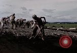 Image of C-54 Japan, 1945, second 17 stock footage video 65675024858