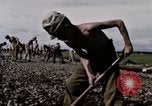 Image of C-54 Japan, 1945, second 22 stock footage video 65675024858