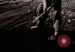 Image of C-54 Japan, 1945, second 23 stock footage video 65675024858