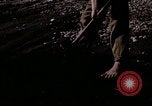 Image of C-54 Japan, 1945, second 27 stock footage video 65675024858
