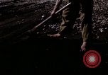 Image of C-54 Japan, 1945, second 29 stock footage video 65675024858