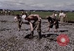 Image of C-54 Japan, 1945, second 31 stock footage video 65675024858
