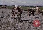 Image of C-54 Japan, 1945, second 32 stock footage video 65675024858