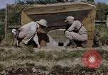 Standbild Kasematte Japan, 1945, aus Sekunde 11 historischem Filmmaterial Videoclip 65675024869