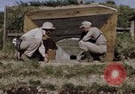 Standbild Kasematte Japan, 1945, aus Sekunde 13 historischem Filmmaterial Videoclip 65675024869