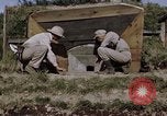 Standbild Kasematte Japan, 1945, aus Sekunde 17 historischem Filmmaterial Videoclip 65675024869