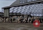 Standbild japanische Jagdflugzeug Japan, 1945, aus Sekunde 28 historischem Filmmaterial Videoclip 65675024870