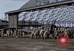 Standbild japanische Jagdflugzeug Japan, 1945, aus Sekunde 29 historischem Filmmaterial Videoclip 65675024870