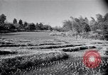 Standbild Demokratie Japan, 1946, aus Sekunde 40 historischem Filmmaterial Videoclip 65675024873