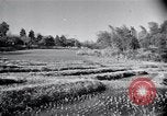 Standbild Demokratie Japan, 1946, aus Sekunde 42 historischem Filmmaterial Videoclip 65675024873