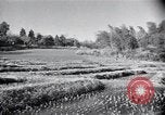 Standbild Demokratie Japan, 1946, aus Sekunde 43 historischem Filmmaterial Videoclip 65675024873