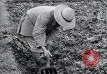 Standbild Demokratie Japan, 1946, aus Sekunde 51 historischem Filmmaterial Videoclip 65675024873