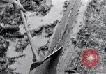 Standbild Demokratie Japan, 1946, aus Sekunde 56 historischem Filmmaterial Videoclip 65675024873