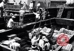 Immagine di Esercito degli Stati Uniti Giappone, 1950, secondo 12 filmato di repertorio 65675024874