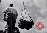 Immagine di Esercito degli Stati Uniti Giappone, 1950, secondo 21 filmato di repertorio 65675024874