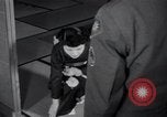 Image of Americans and Japanese learn about each other Japan, 1950, second 40 stock footage video 65675024879