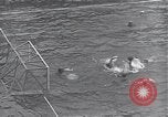 Immagine di Americani e Giapponesi di sport Giappone, 1950, secondo 43 filmato di repertorio 65675024881