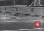 Immagine di Americani e Giapponesi di sport Giappone, 1950, secondo 56 filmato di repertorio 65675024881