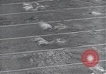 Immagine di Americani e Giapponesi di sport Giappone, 1950, secondo 62 filmato di repertorio 65675024881