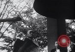 Standbild Tradition Japan, 1950, aus Sekunde 10 historischem Filmmaterial Videoclip 65675024885