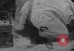 Standbild japanische Defence Force Training Japan, 1954, aus Sekunde 49 historischem Filmmaterial Videoclip 65675024890