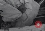 Standbild japanische Defence Force Training Japan, 1954, aus Sekunde 50 historischem Filmmaterial Videoclip 65675024890