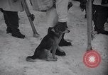 Standbild ski Training Rumoi Hokkaido Japan, 1954, aus Sekunde 58 historischem Filmmaterial Videoclip 65675024891