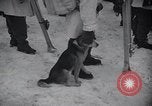 Standbild ski Training Rumoi Hokkaido Japan, 1954, aus Sekunde 59 historischem Filmmaterial Videoclip 65675024891