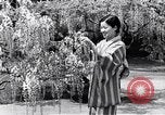Standbild Attraktionen Japan, 1936, aus Sekunde 19 historischem Filmmaterial Videoclip 65675024892