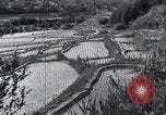 Standbild Attraktionen Japan, 1936, aus Sekunde 58 historischem Filmmaterial Videoclip 65675024892