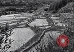 Standbild Attraktionen Japan, 1936, aus Sekunde 59 historischem Filmmaterial Videoclip 65675024892