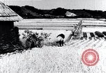 Standbild hydro-elektrische Anlage Japan, 1936, aus Sekunde 43 historischem Filmmaterial Videoclip 65675024897