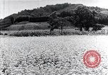 Standbild hydro-elektrische Anlage Japan, 1936, aus Sekunde 44 historischem Filmmaterial Videoclip 65675024897