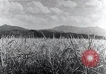 Standbild hydro-elektrische Anlage Japan, 1936, aus Sekunde 45 historischem Filmmaterial Videoclip 65675024897