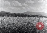 Standbild hydro-elektrische Anlage Japan, 1936, aus Sekunde 47 historischem Filmmaterial Videoclip 65675024897