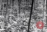 Standbild Inseln Klima Japan, 1936, aus Sekunde 7 historischem Filmmaterial Videoclip 65675024898