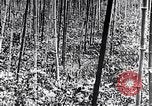 Standbild Inseln Klima Japan, 1936, aus Sekunde 8 historischem Filmmaterial Videoclip 65675024898
