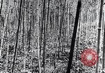 Standbild Inseln Klima Japan, 1936, aus Sekunde 10 historischem Filmmaterial Videoclip 65675024898