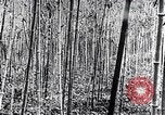 Standbild Inseln Klima Japan, 1936, aus Sekunde 11 historischem Filmmaterial Videoclip 65675024898