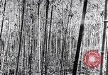 Standbild Inseln Klima Japan, 1936, aus Sekunde 12 historischem Filmmaterial Videoclip 65675024898