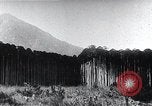 Standbild Inseln Klima Japan, 1936, aus Sekunde 21 historischem Filmmaterial Videoclip 65675024898