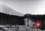 Standbild Inseln Klima Japan, 1936, aus Sekunde 22 historischem Filmmaterial Videoclip 65675024898